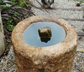 Garden pond